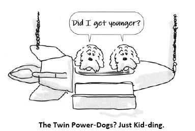 Twin Paradox